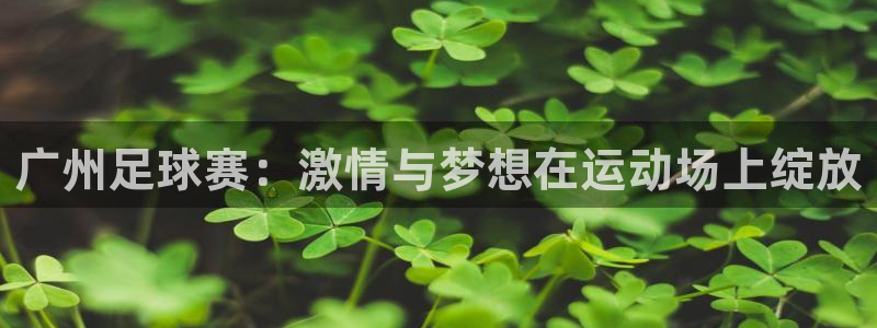 广州足球赛：激情与梦想在运动场上绽放