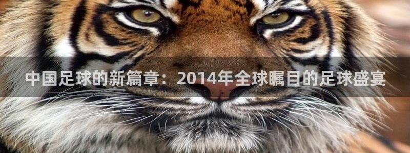  中国足球的新篇章：2014年全球瞩目的足球盛宴