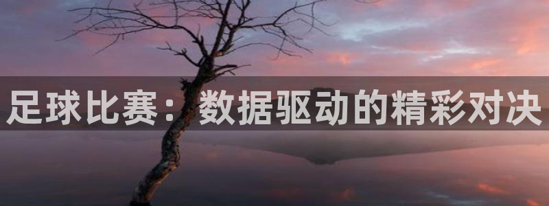  足球比赛：数据驱动的精彩对决