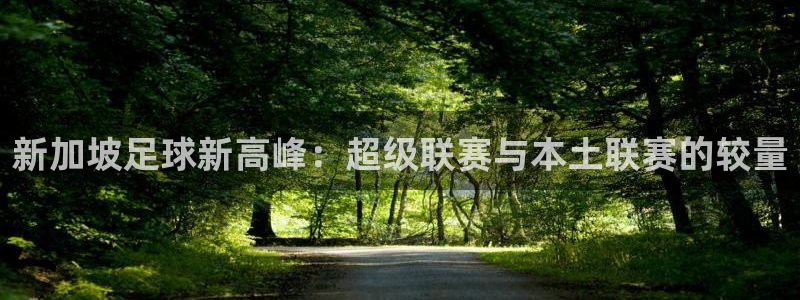  新加坡足球新高峰：超级联赛与本土联赛的较量