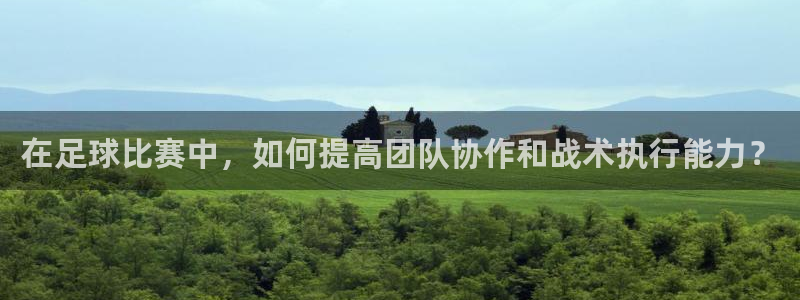  在足球比赛中，如何提高团队协作和战术执行能力？