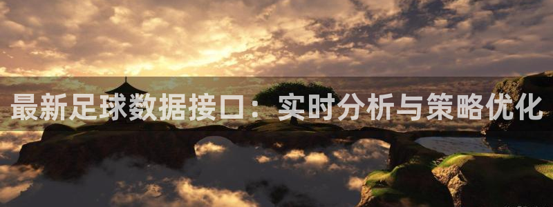 最新足球数据接口：实时分析与策略优化