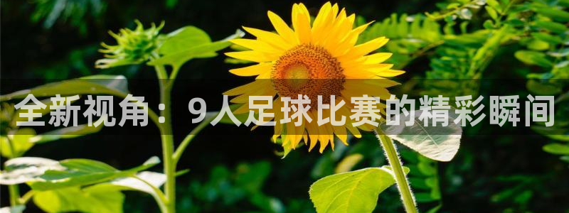 全新视角：9人足球比赛的精彩瞬间