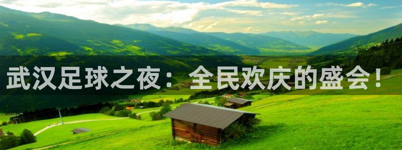  武汉足球之夜：全民欢庆的盛会！