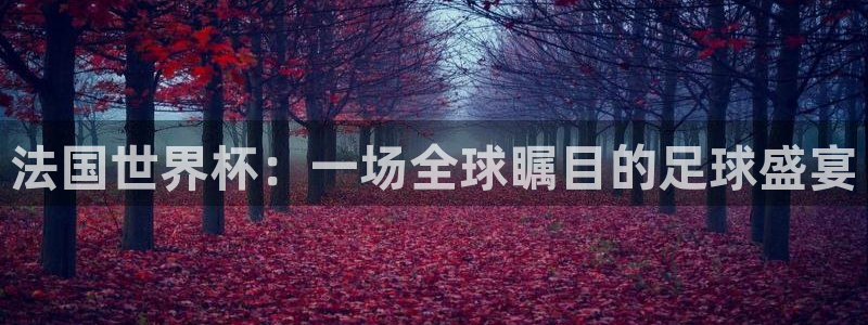 法国世界杯：一场全球瞩目的足球盛宴