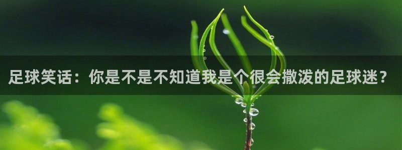  足球笑话：你是不是不知道我是个很会撒泼的足球迷？