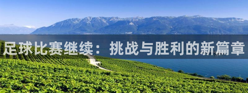 足球比赛继续：挑战与胜利的新篇章