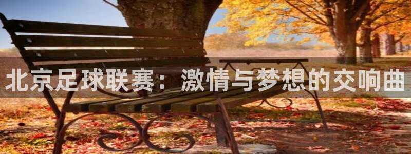 北京足球联赛：激情与梦想的交响曲