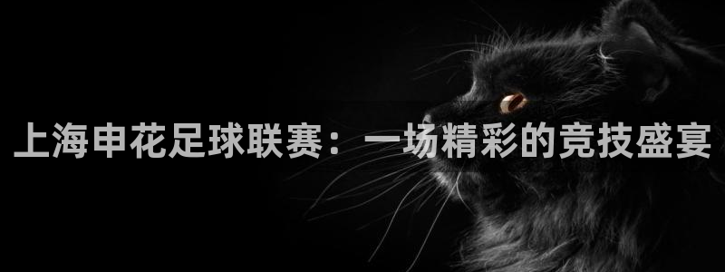 上海申花足球联赛：一场精彩的竞技盛宴