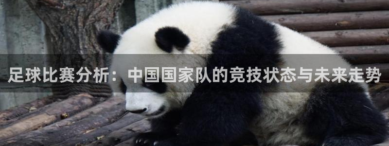 足球比赛分析：中国国家队的竞技状态与未来走势