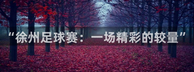  “徐州足球赛：一场精彩的较量”