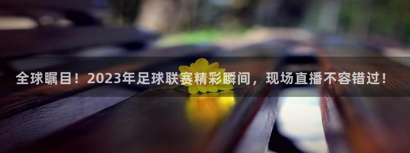  全球瞩目！2023年足球联赛精彩瞬间，现场直播不容错过！