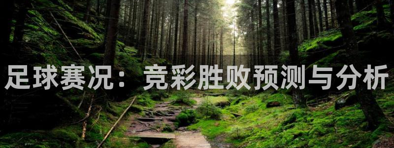 足球赛况：竞彩胜败预测与分析