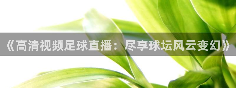 《高清视频足球直播：尽享球坛风云变幻》