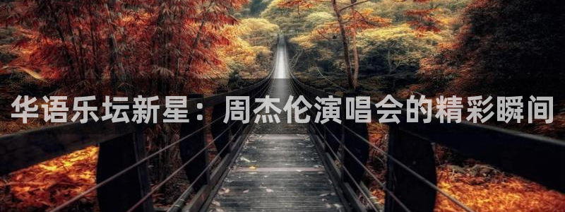 斗球直播电脑版：华语乐坛新星：周杰伦演唱会的精彩瞬间
