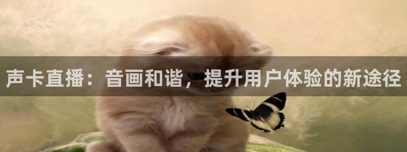 斗球直播全免费观看：声卡直播：音画和谐，提升用户体验的新途径