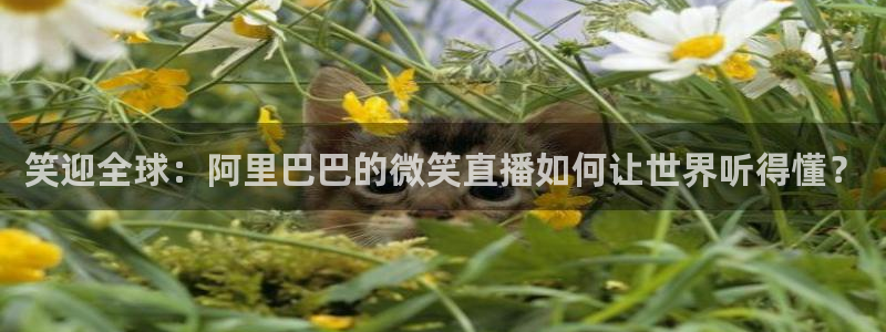 斗球直播官网下载：笑迎全球：阿里巴巴的微笑直播如何让世界听得懂？