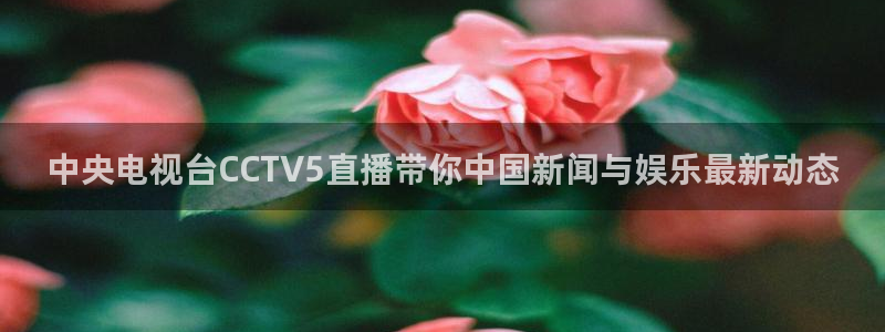 斗球直播吧：中央电视台CCTV5直播带你中国新闻与娱乐最新动态
