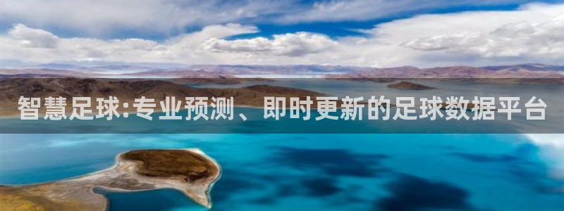 智慧足球:专业预测、即时更新的足球数