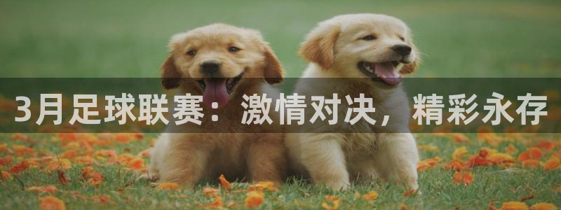 3月足球联赛：激情对决，精彩永存