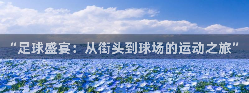“足球盛宴：从街头到球场的运动之旅”