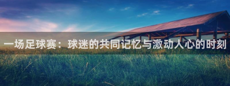 一场足球赛：球迷的共同记忆与激动人心