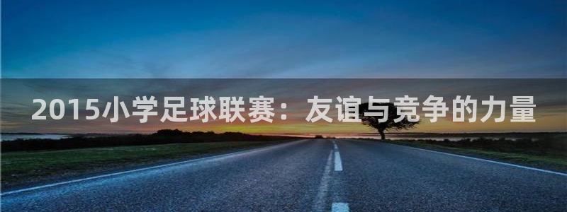 2015小学足球联赛：友谊与竞争的力