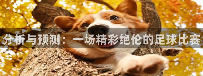 分析与预测：一场精彩绝伦的足球比赛