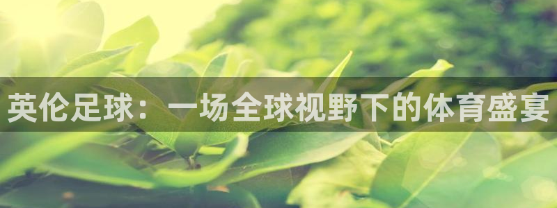 英伦足球：一场全球视野下的体育盛宴