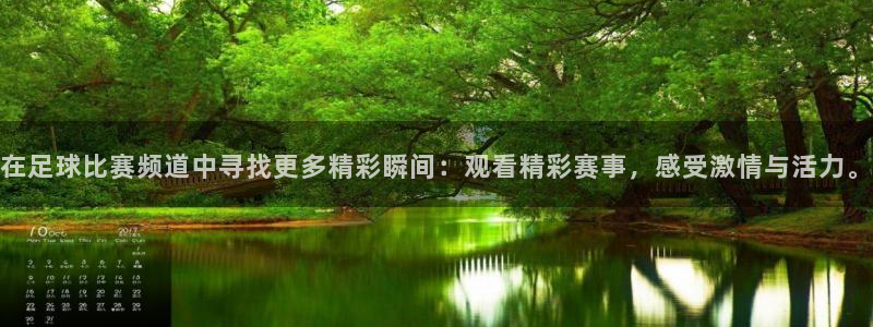 在足球比赛频道中寻找更多精彩瞬间：观