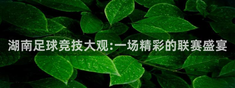 湖南足球竞技大观:一场精彩的联赛盛宴