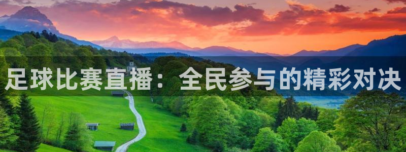 足球比赛直播：全民参与的精彩对决