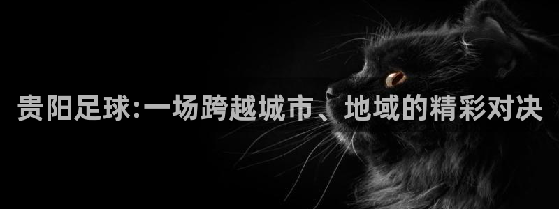 贵阳足球:一场跨越城市、地域的精彩对
