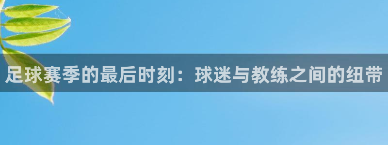 足球赛季的最后时刻：球迷与教练之间的