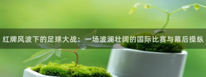 红牌风波下的足球大战：一场波澜壮阔的