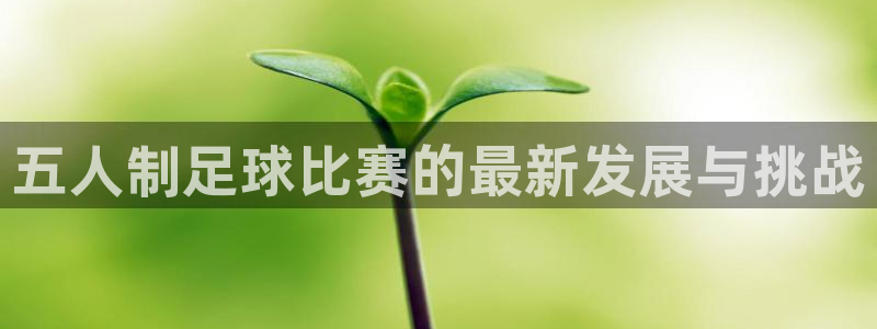 五人制足球比赛的最新发展与挑战
