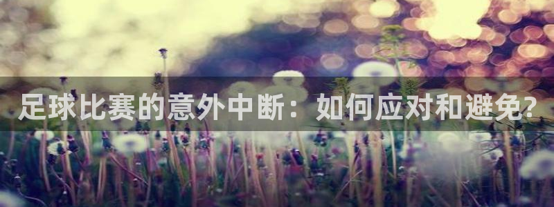 足球比赛的意外中断：如何应对和避免?