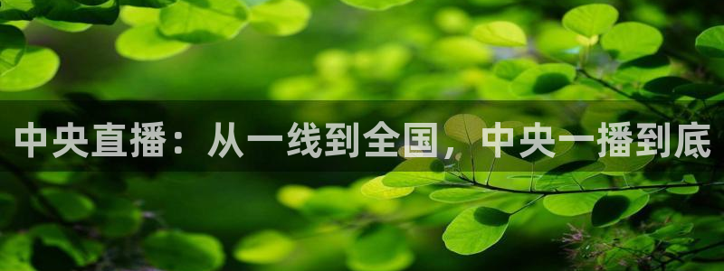 斗球直播在线观看nba