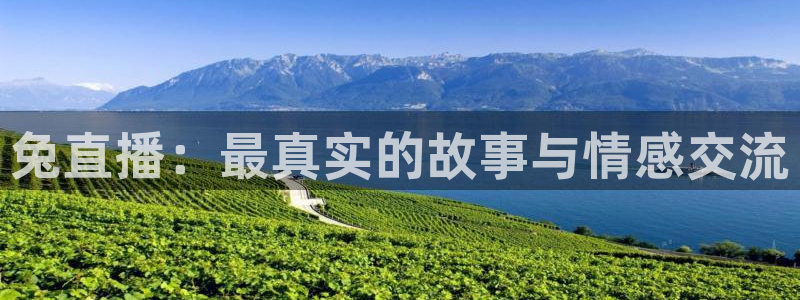 斗球直播体育下载