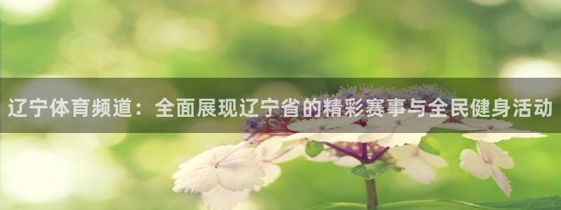斗球直播网页版入口
