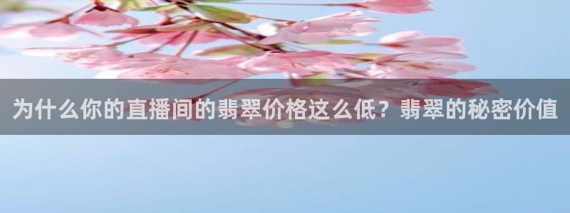 斗球体育直播官网