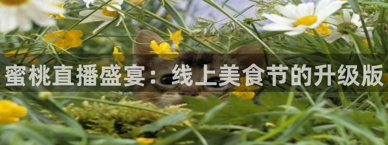 斗球直播ios下载：蜜桃直播盛宴：线上美食节的升级版